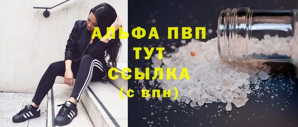 винт Арсеньев